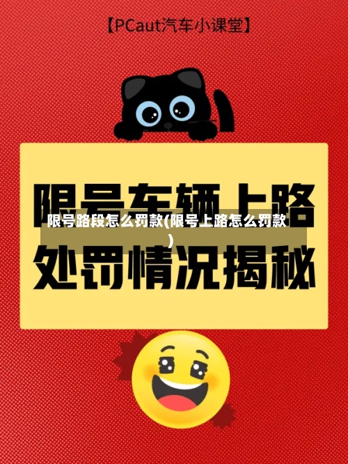 限号路段怎么罚款(限号上路怎么罚款)