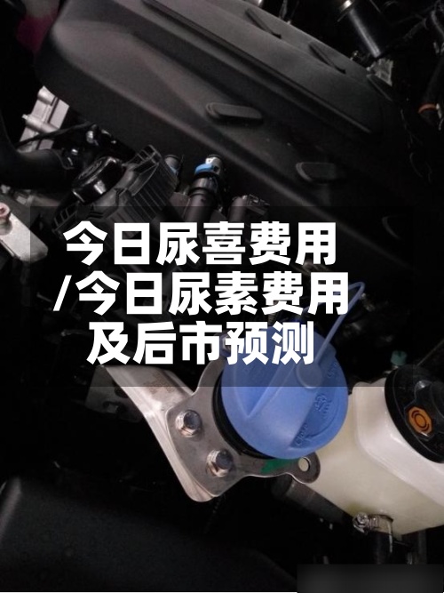 今日尿喜费用
/今日尿素费用
及后市预测