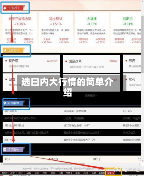 选曰内大行情的简单介绍