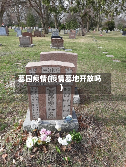 墓园疫情(疫情墓地开放吗)-第2张图片