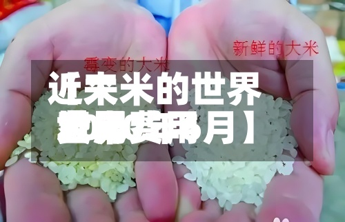 近来【大米的世界费用世界大米费用2020年6月】-第3张图片