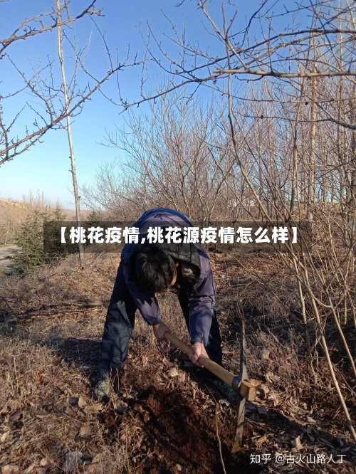 【桃花疫情,桃花源疫情怎么样】-第3张图片