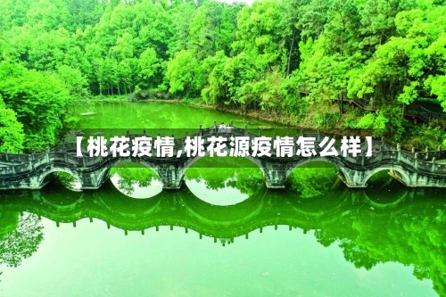【桃花疫情,桃花源疫情怎么样】