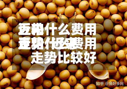 近来豆粕什么费用走势/近来豆粕什么费用走势比较好