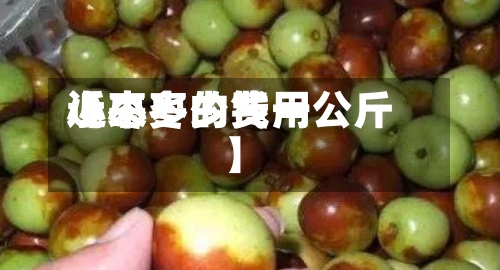 近来
【小枣的费用
小枣多少钱一公斤】
