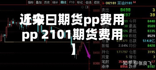 近来
【今曰期货pp费用
pp 2101期货费用
】