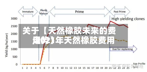 关于【天然橡胶未来的费用
,2021年天然橡胶费用
走势】