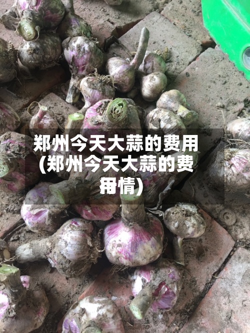 郑州今天大蒜的费用
(郑州今天大蒜的费用
行情)-第2张图片