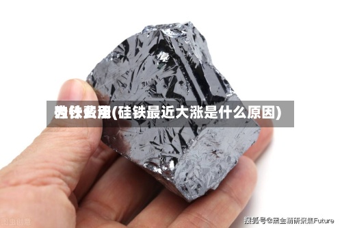 硅铁费用为什么涨(硅铁最近大涨是什么原因)