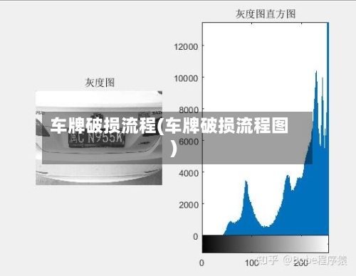 车牌破损流程(车牌破损流程图)-第2张图片
