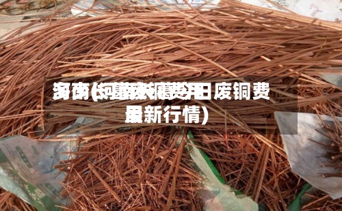河南长葛废铜费用多少(河南长葛今日废铜费用最新行情)