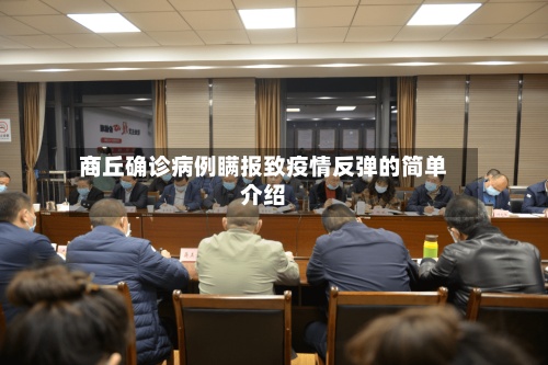 商丘确诊病例瞒报致疫情反弹的简单介绍