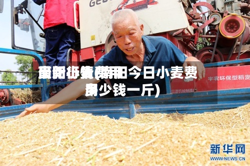 南阳小麦费用
最新行情(南阳今日小麦费用
多少钱一斤)