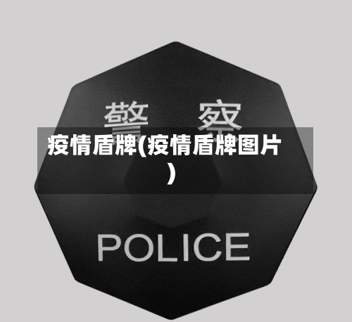 疫情盾牌(疫情盾牌图片)