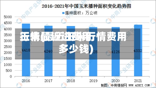 玉米最近进费用
行情(最近玉米行情费用
多少钱)-第3张图片