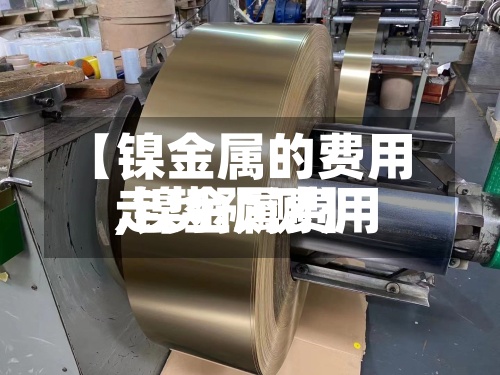 【镍金属的费用
,镍金属费用
走势预测】-第3张图片