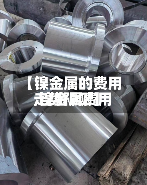 【镍金属的费用
,镍金属费用
走势预测】-第2张图片