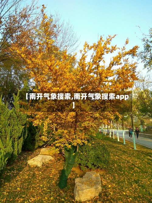 【南开气象搜索,南开气象搜索app】