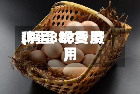 鸡蛋888费用
(鸡蛋 现货 费用
)