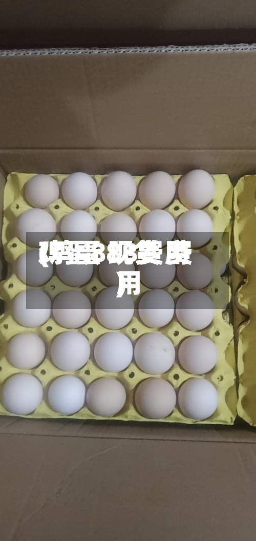 鸡蛋888费用
(鸡蛋 现货 费用
)-第2张图片