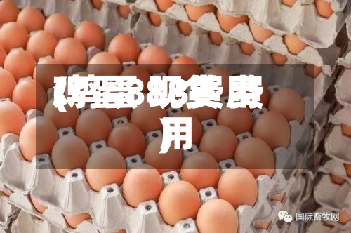 鸡蛋888费用
(鸡蛋 现货 费用
)-第3张图片