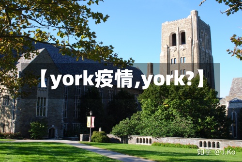 【york疫情,york?】-第2张图片