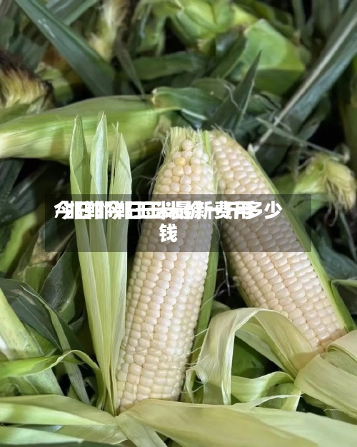 今日邯郸玉米最新费用
/邯郸今日玉米价一斤多少钱-第2张图片