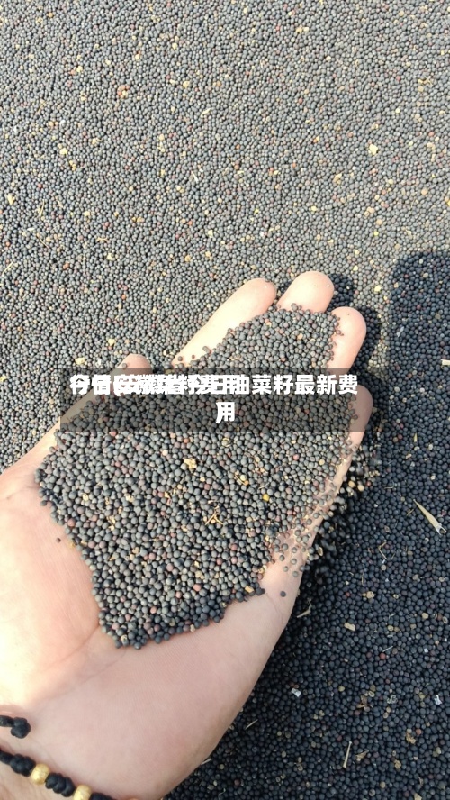 今日安徽菜籽费用
行情(安徽省今日油菜籽最新费用
)-第2张图片