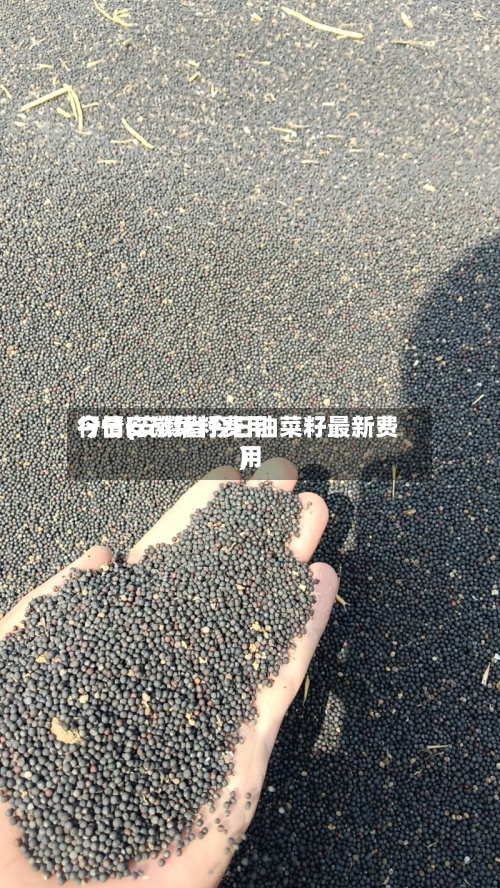 今日安徽菜籽费用
行情(安徽省今日油菜籽最新费用
)