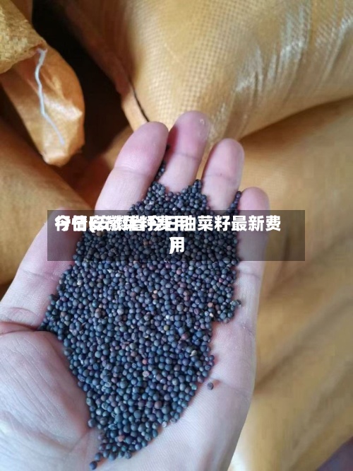 今日安徽菜籽费用
行情(安徽省今日油菜籽最新费用
)-第3张图片