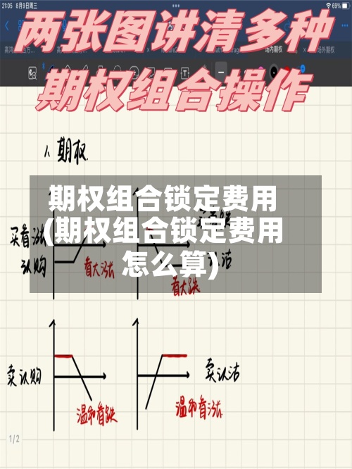 期权组合锁定费用(期权组合锁定费用怎么算)-第2张图片