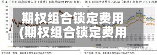 期权组合锁定费用
(期权组合锁定费用
怎么算)