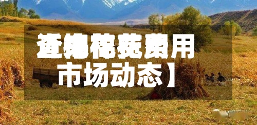 近来
【棉花费用
查询棉花费用
市场动态】