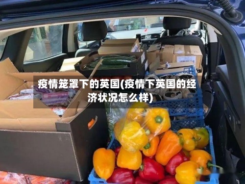 疫情笼罩下的英国(疫情下英国的经济状况怎么样)