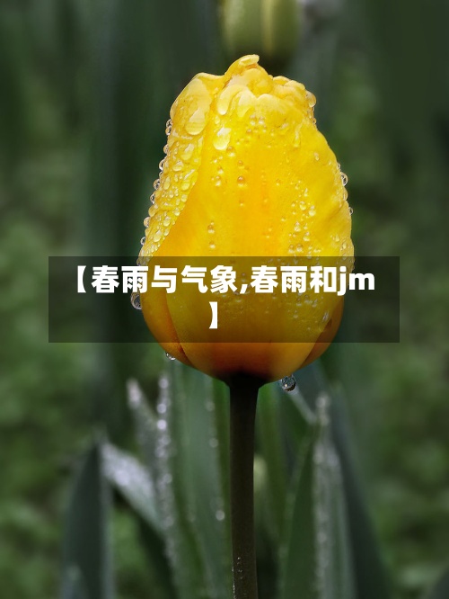【春雨与气象,春雨和jm】