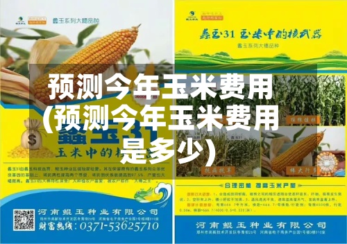 预测今年玉米费用
(预测今年玉米费用
是多少)