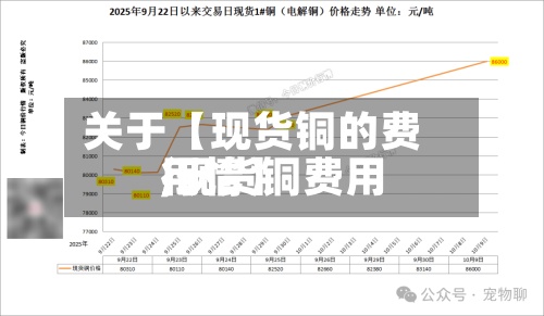 关于【现货铜的费用
,现货铜费用
行情】-第3张图片