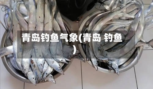 青岛钓鱼气象(青岛 钓鱼)