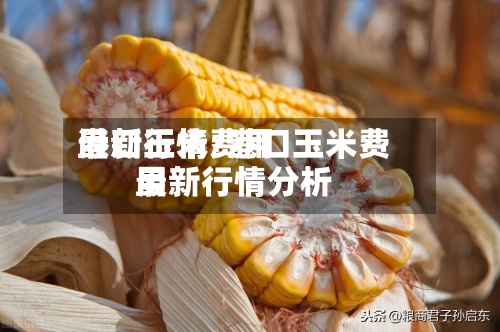 港口玉米费用最新行情/港口玉米费用最新行情分析-第2张图片