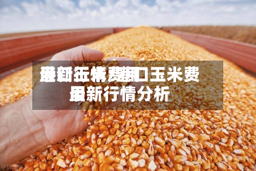 港口玉米费用最新行情/港口玉米费用最新行情分析-第3张图片