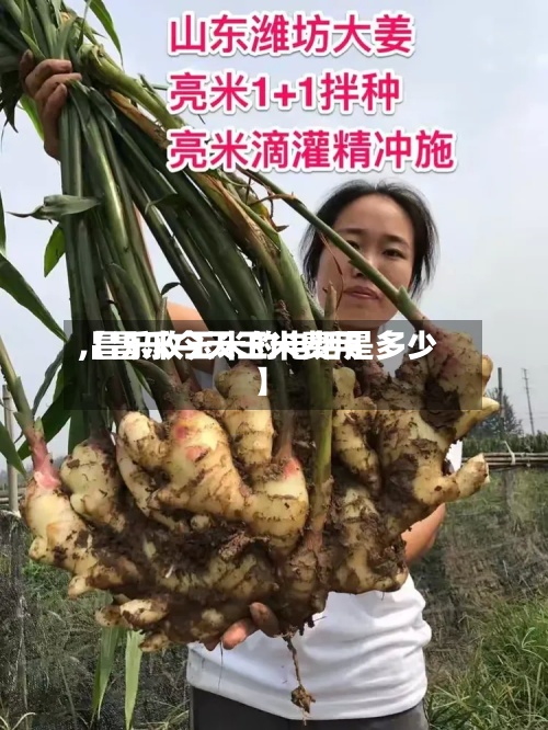 【昌乐今天玉米费用
,昌乐收玉米的电话是多少】-第2张图片