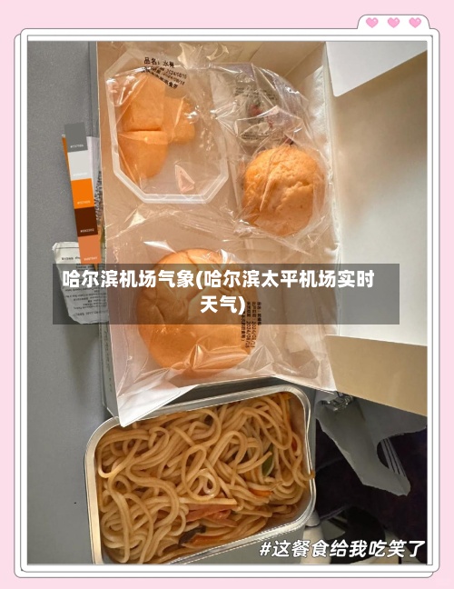 哈尔滨机场气象(哈尔滨太平机场实时天气)-第2张图片