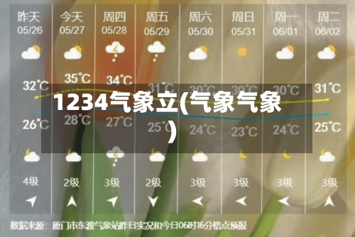 1234气象立(气象气象)