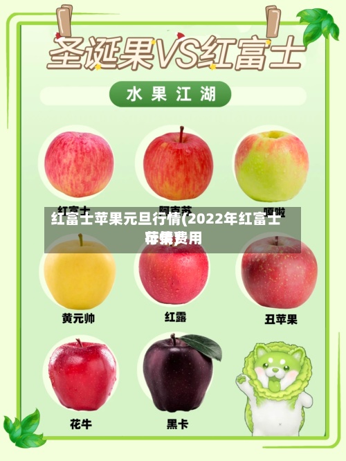 红富士苹果元旦行情(2022年红富士苹果费用
行情)