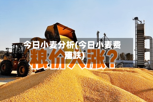 今日小麦分析(今日小麦费用
涨跌)-第2张图片