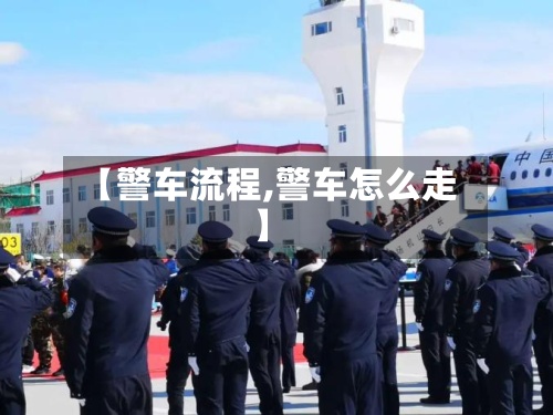【警车流程,警车怎么走】-第3张图片