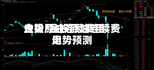 金投原油连续费用
走势/金投原油连续费用
走势预测