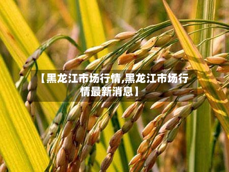 【黑龙江市场行情,黑龙江市场行情最新消息】