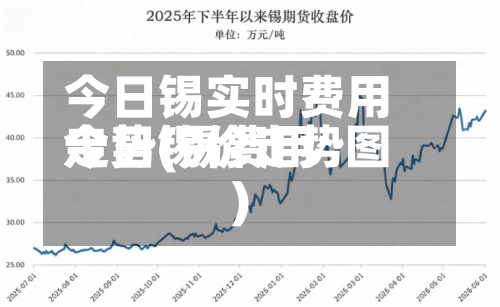 今日锡实时费用
走势(锡费用
今日锡价走势图)