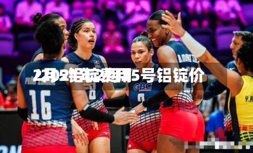 2月5铝锭费用
/2021年2月25号铝锭价